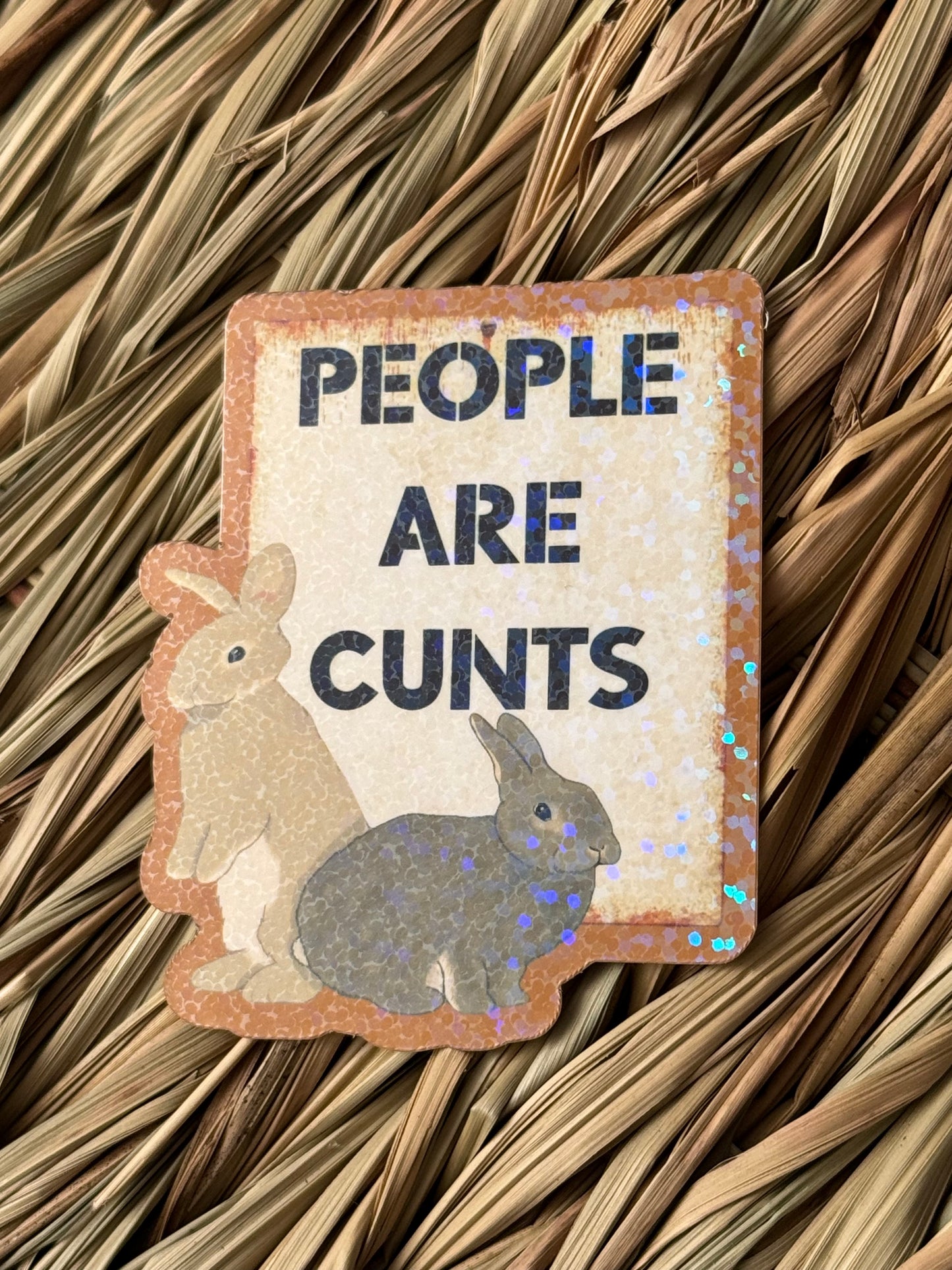 People are C**Ts Sticker