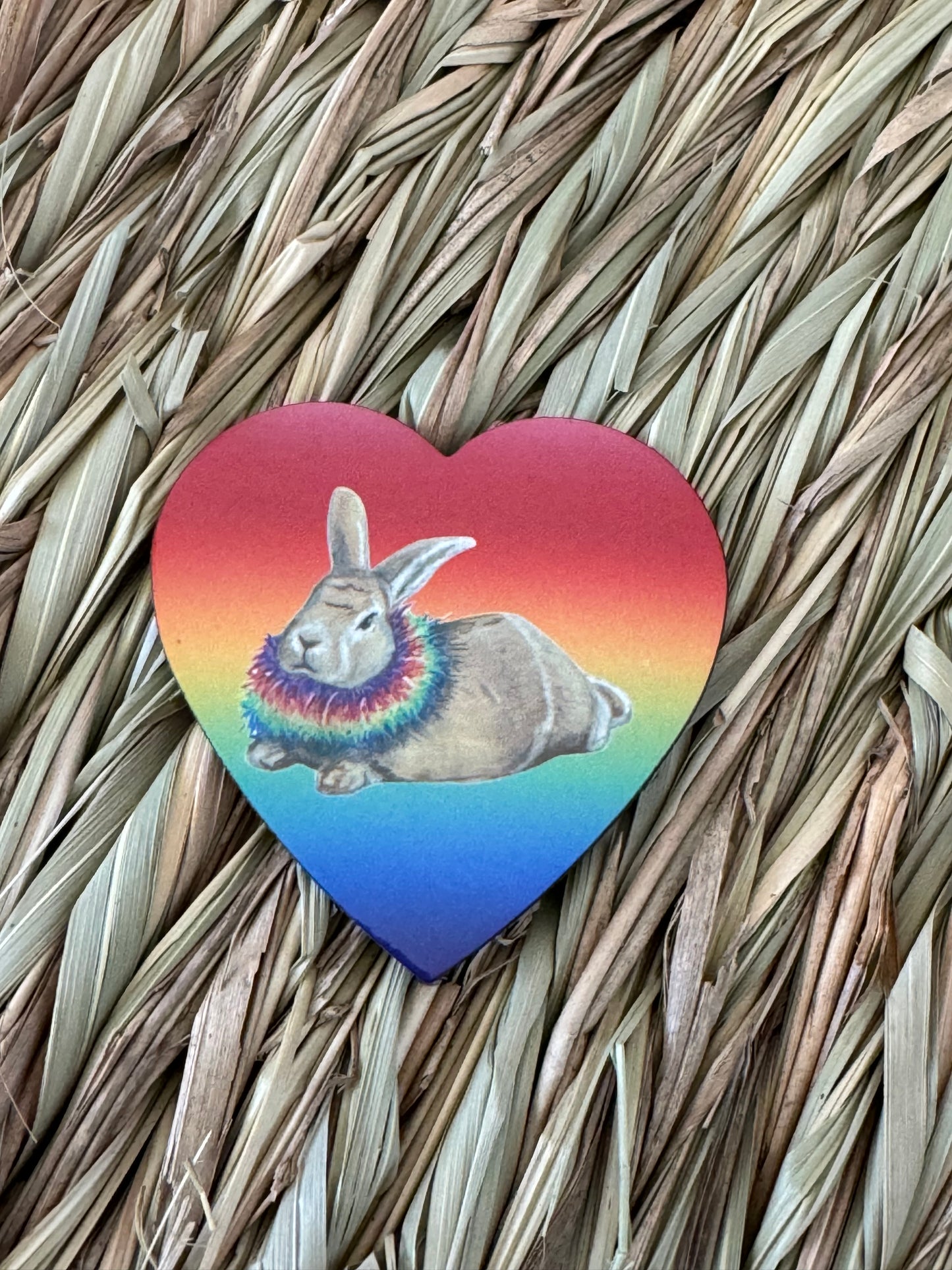 LGBTQIA+ - The Pride Bunnies Collection - JJ & Hettie