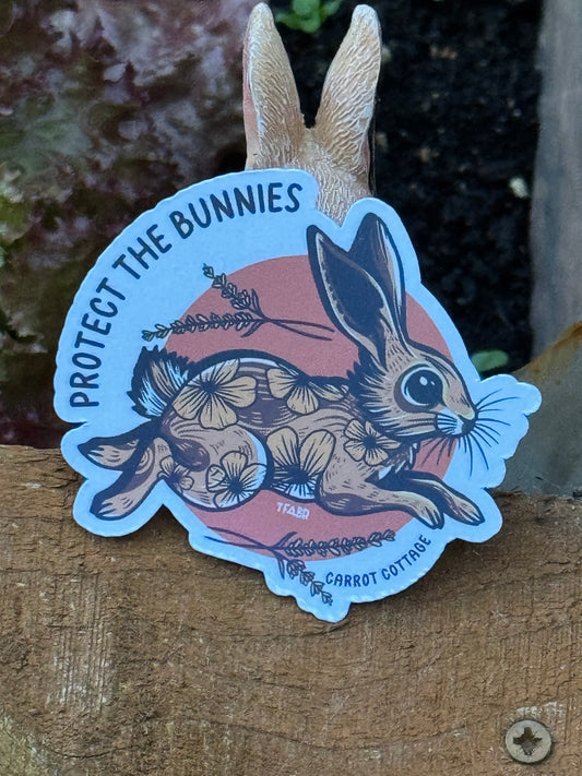 Protect The Bunnies - CCRR - The Famous Artist Birdy Rose