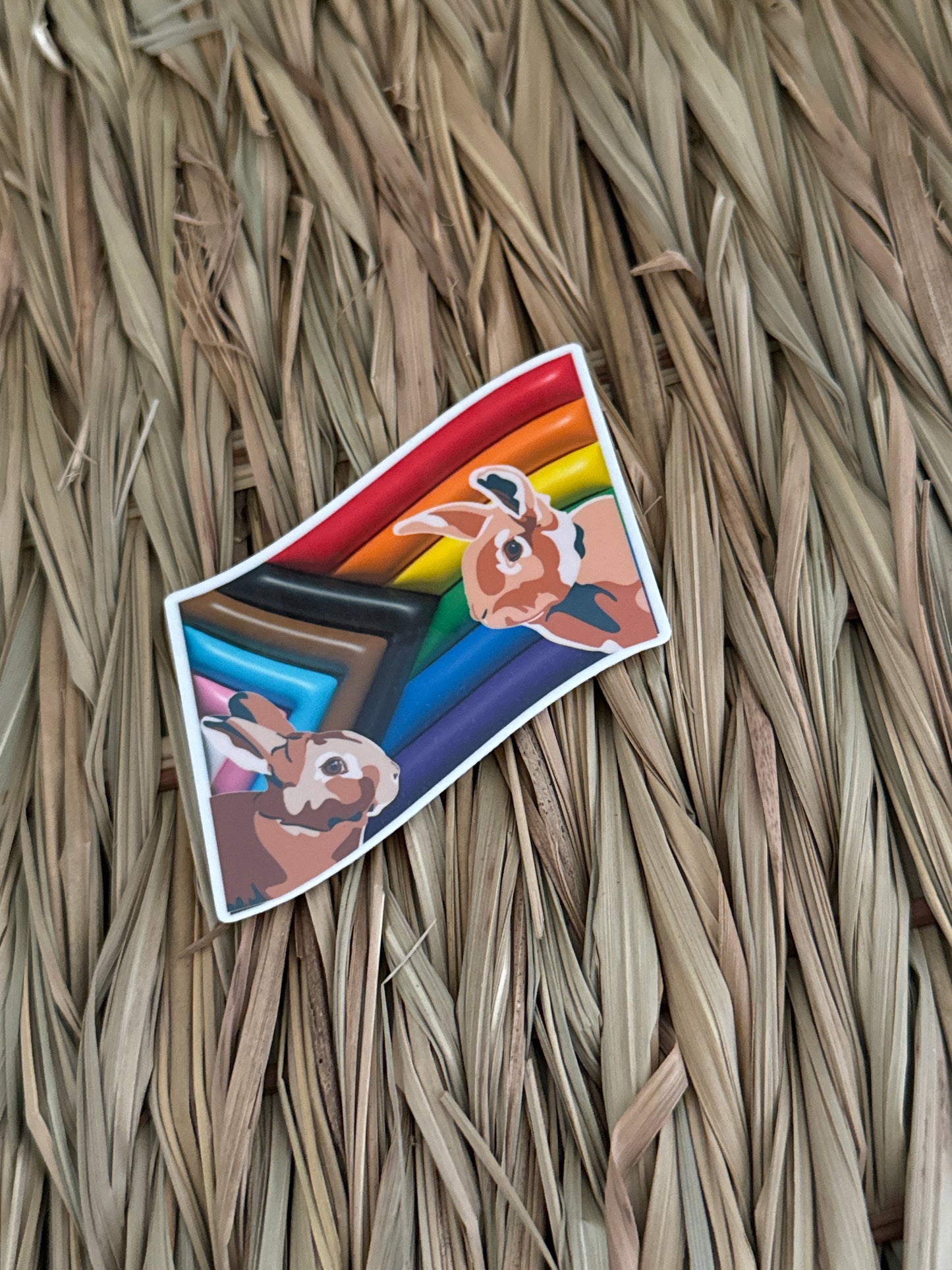 LGBTQIA+ Cute Holographic JJ and Hettie Pride Flag Sticker