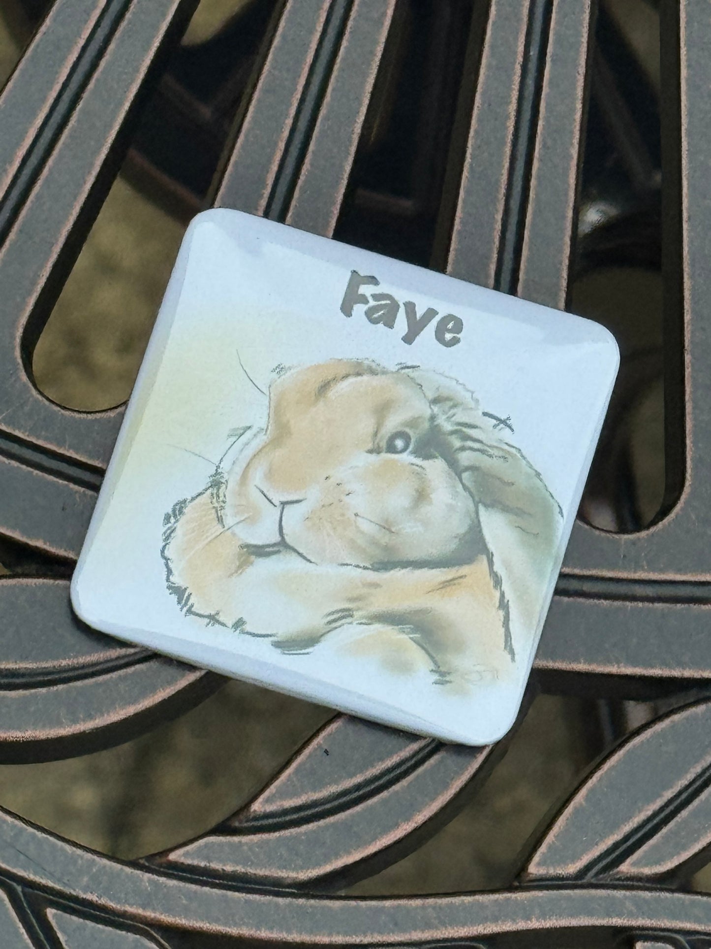 CCRR - Faye