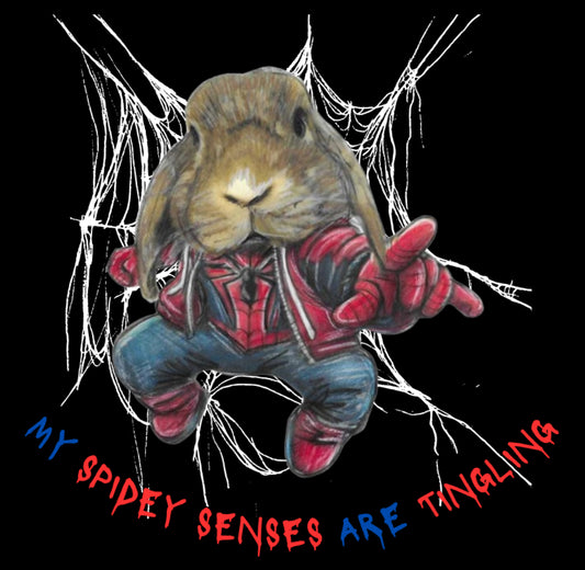 Spider Bunny T-Shirt - Halloween
