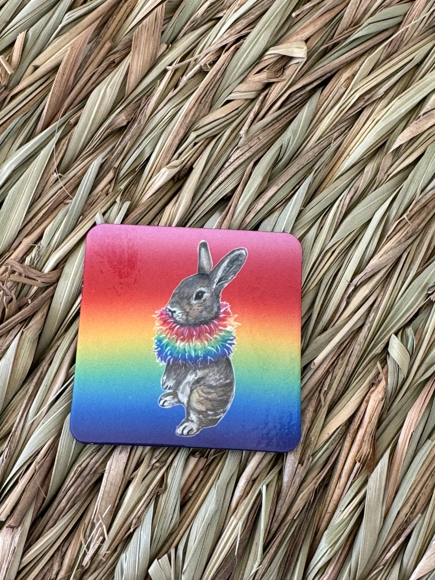 LGBTQIA+ - The Pride Bunnies Collection - JJ & Hettie