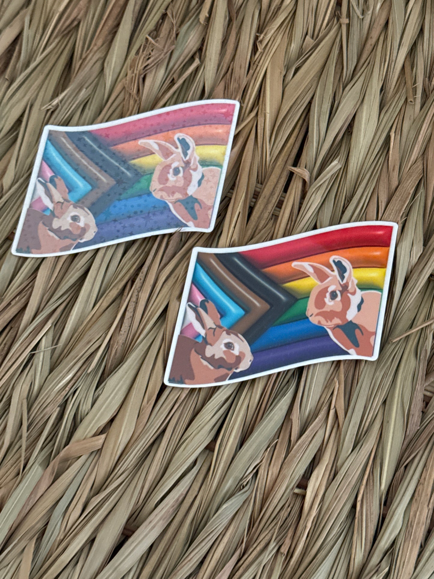 LGBTQIA+ Cute Holographic JJ and Hettie Pride Flag Sticker