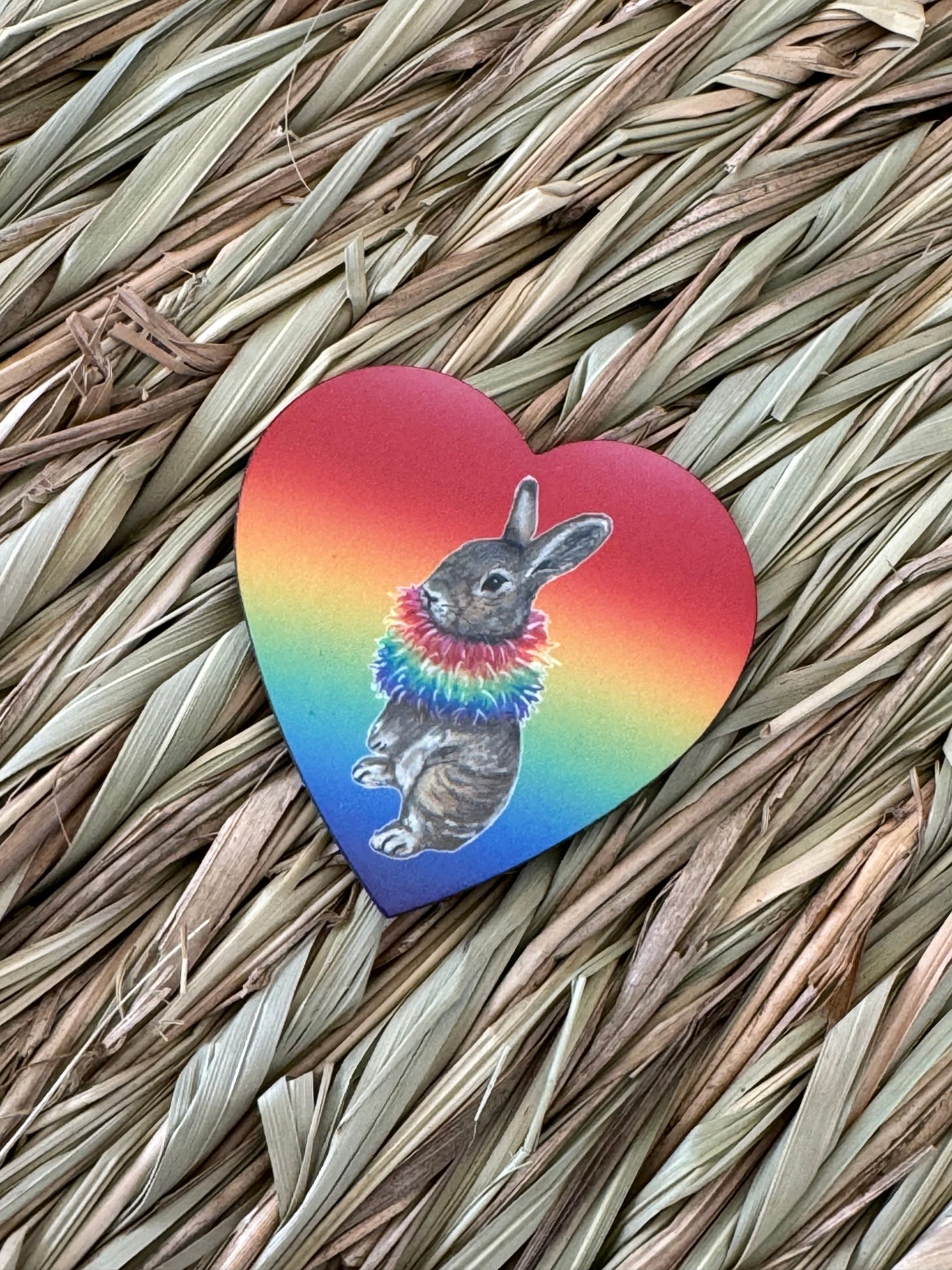 LGBTQIA+ - The Pride Bunnies Collection - JJ & Hettie