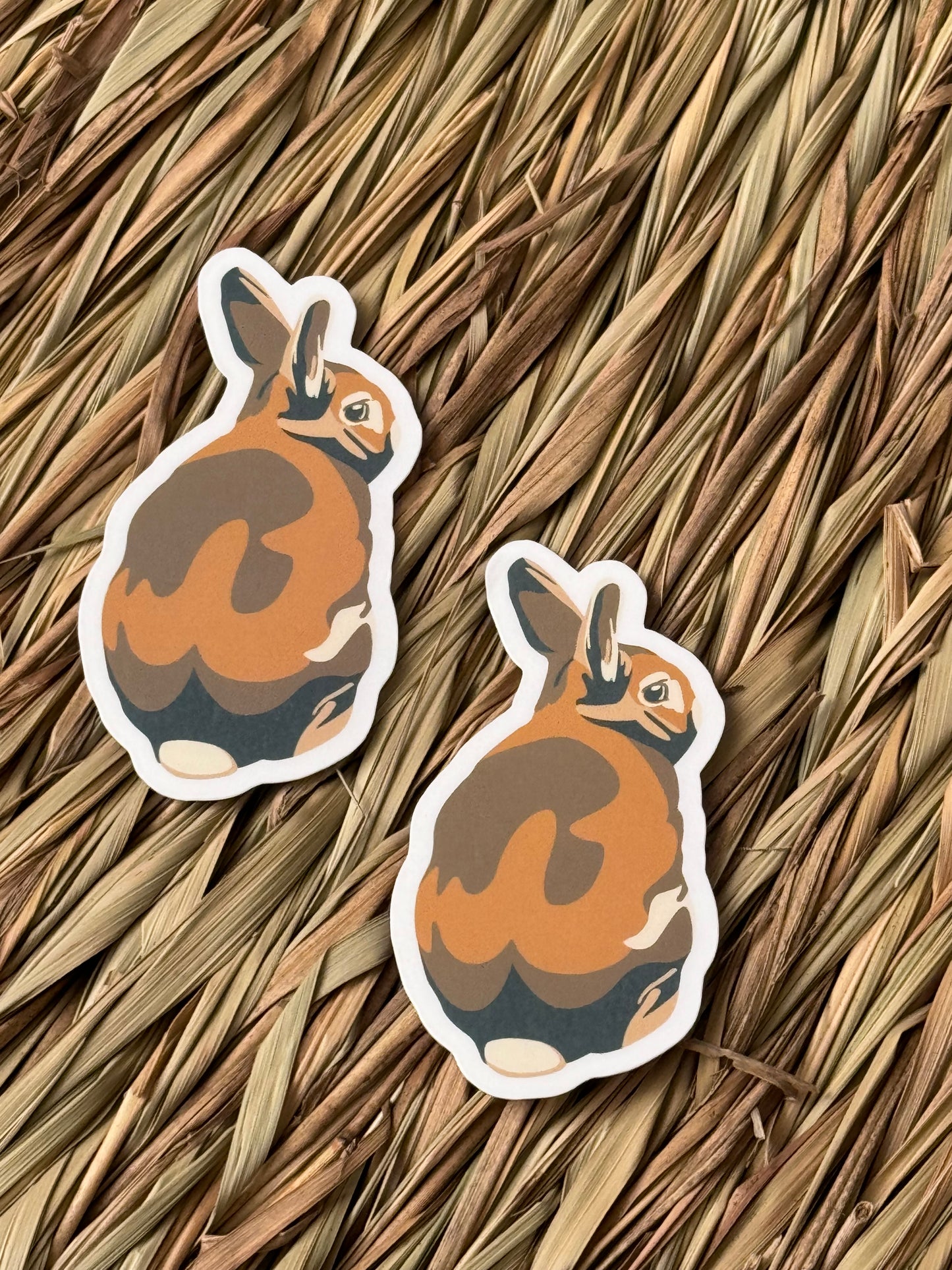 JJ Rabbit Sticker