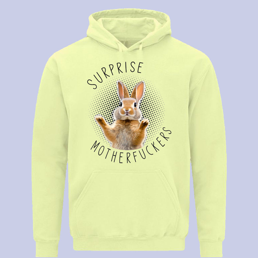 Surprise Motherfuckers Overhead Hoodie