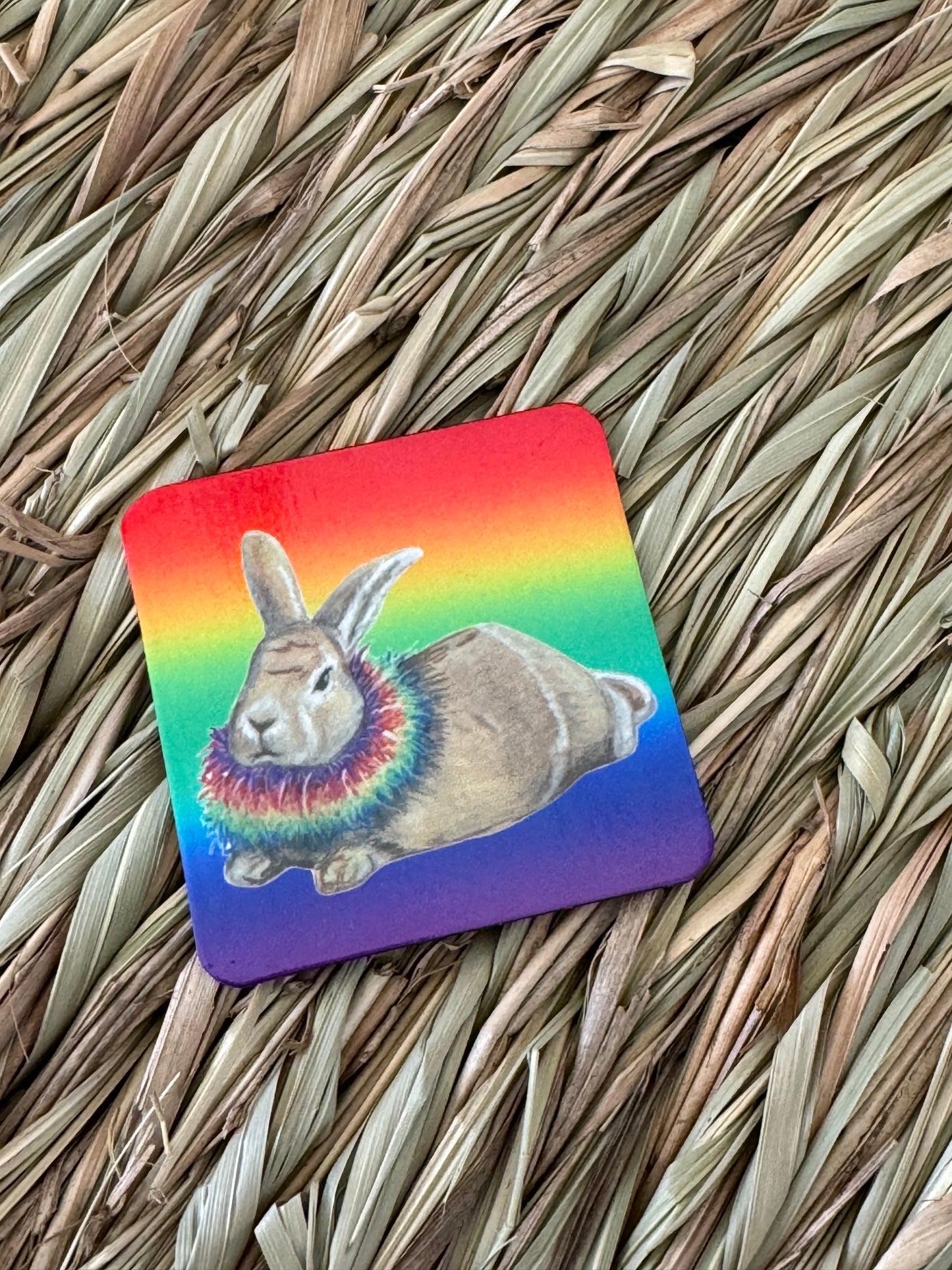 LGBTQIA+ - The Pride Bunnies Collection - JJ & Hettie