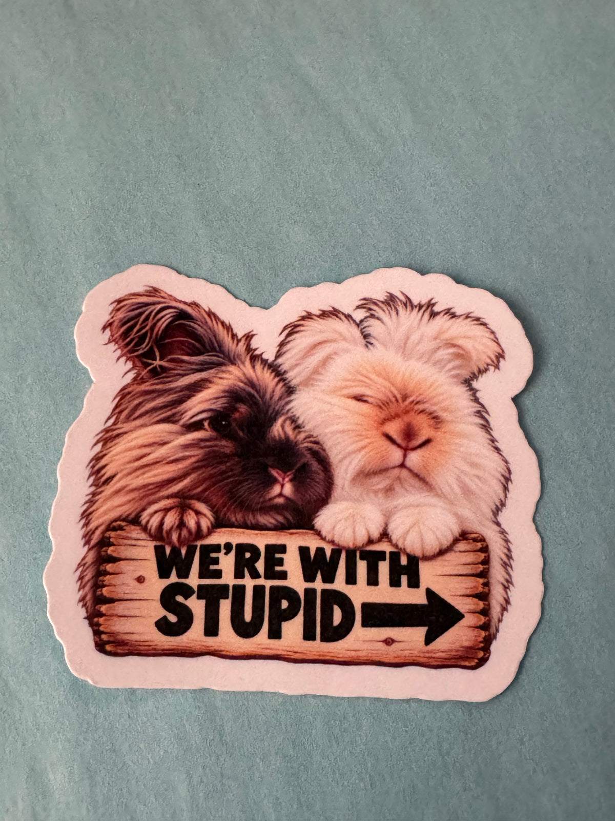 Naughty Bunnies - We’re with stupid