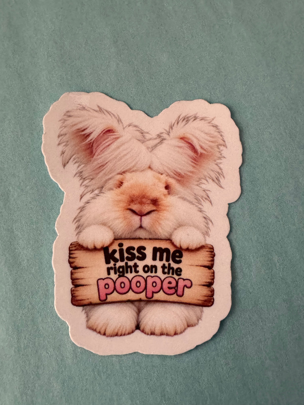 Naughty Bunnies - Kiss me right on the pooper