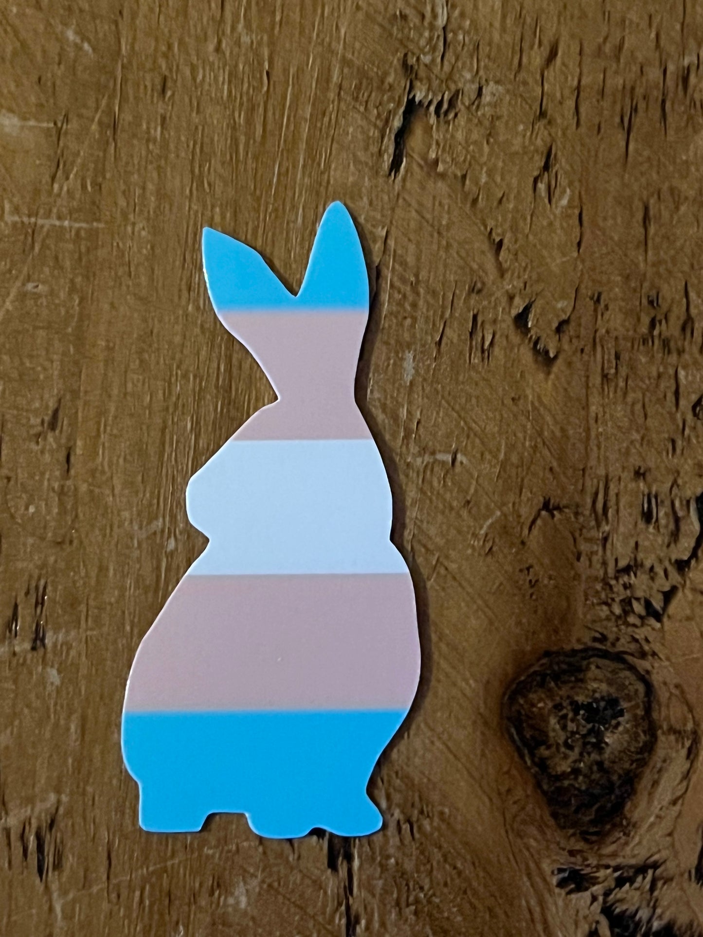 LGBQTIA+ bunny pride flag stickers