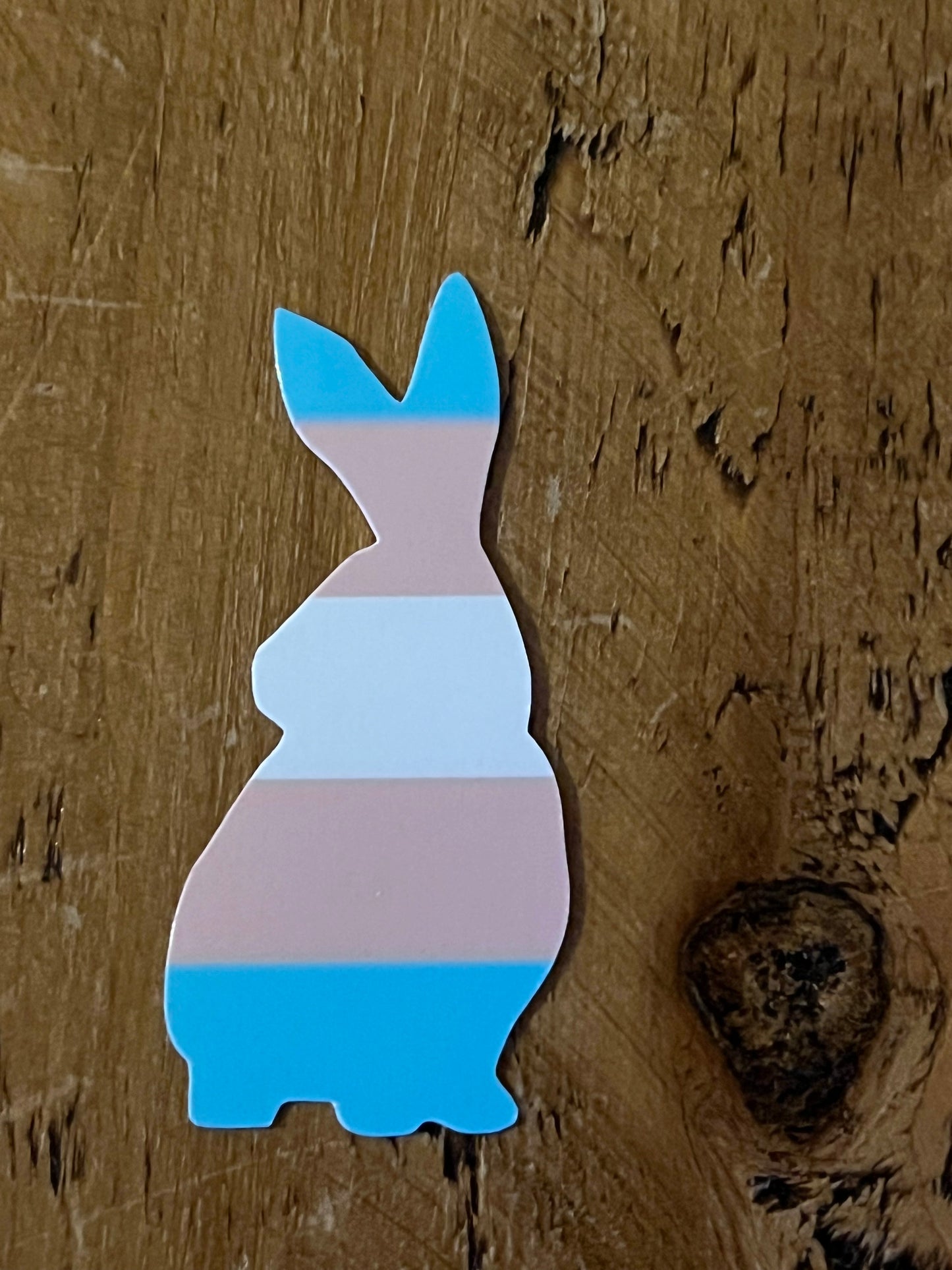 LGBQTIA+ bunny pride flag magnets