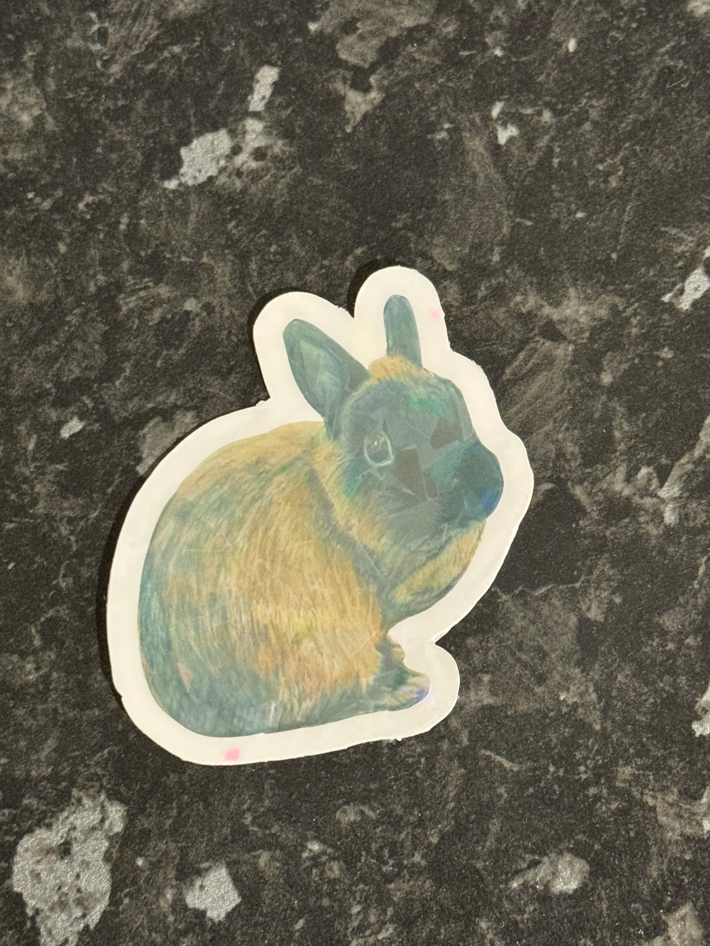 Koko Sticker