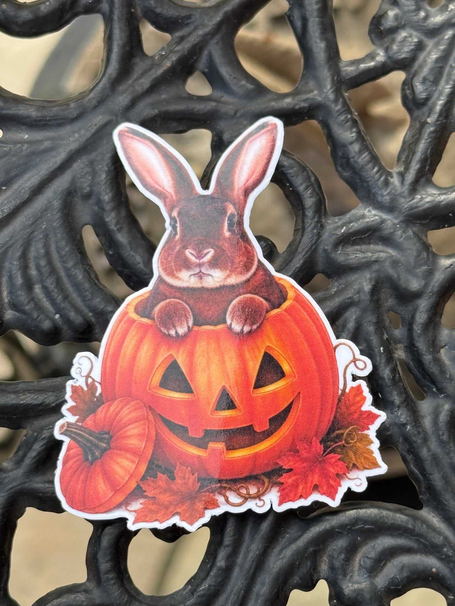 Spooky Buns - Watson - Pumpkin