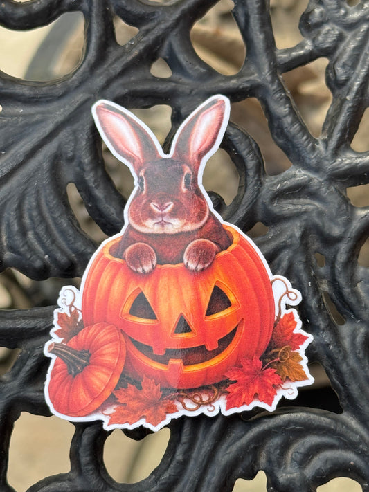 Spooky Buns - Watson - Pumpkin