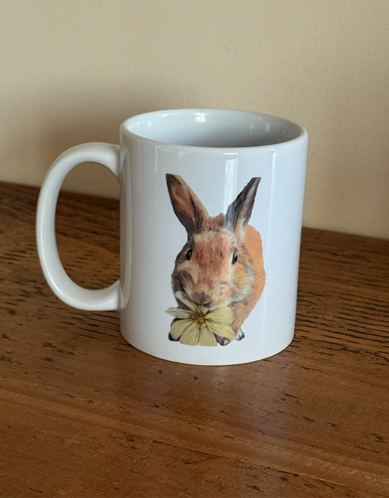 Carrot Cottage Rabbit Rescue - Linda - by Fiona