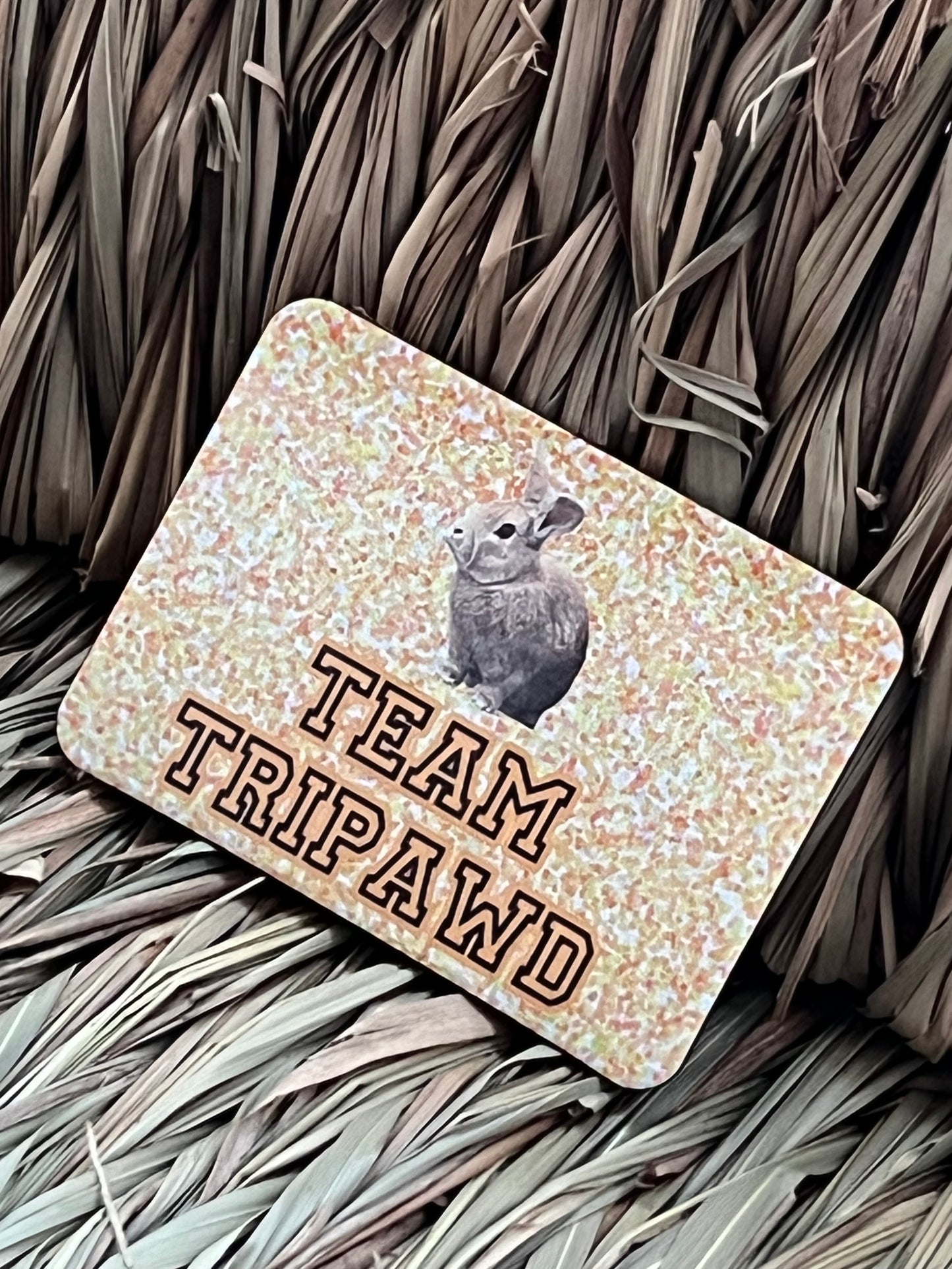 Team Tripawd Magnets