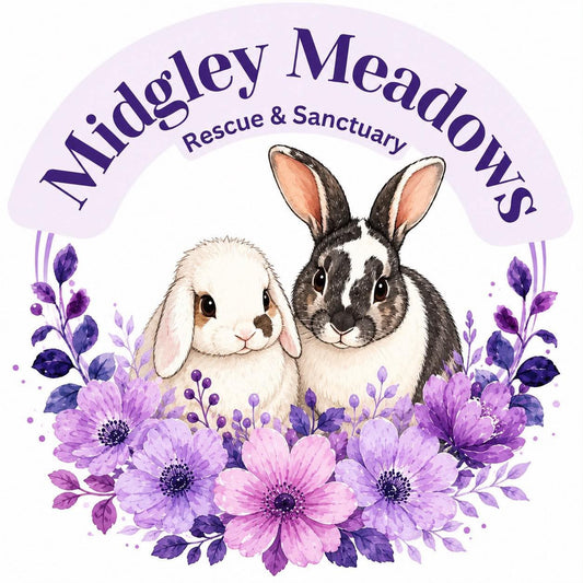 Midgley Meadows Rabbit Rescue
