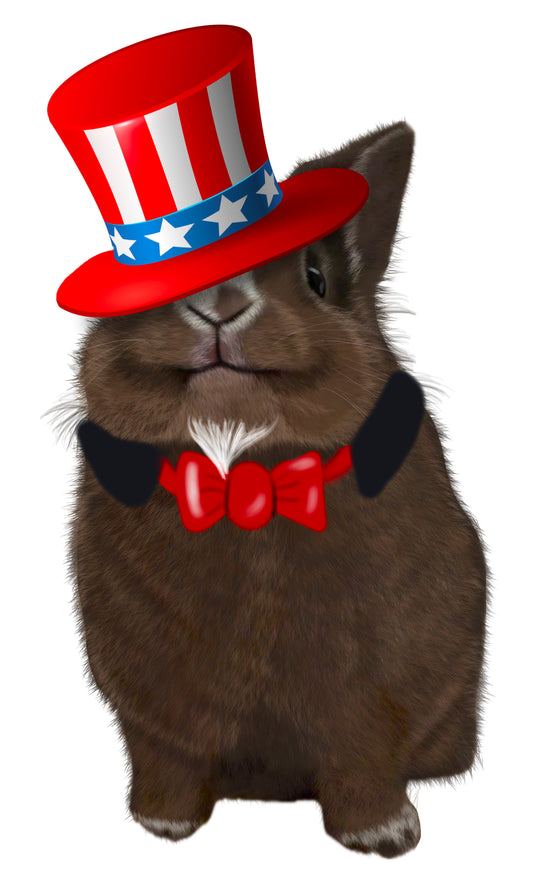 USA - Benji