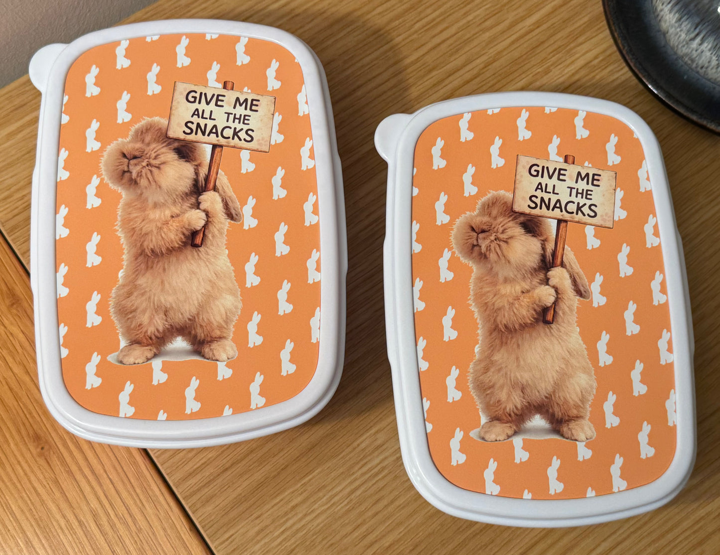 CCRR - Fawn Sandwich (or snacks) Plastic Box