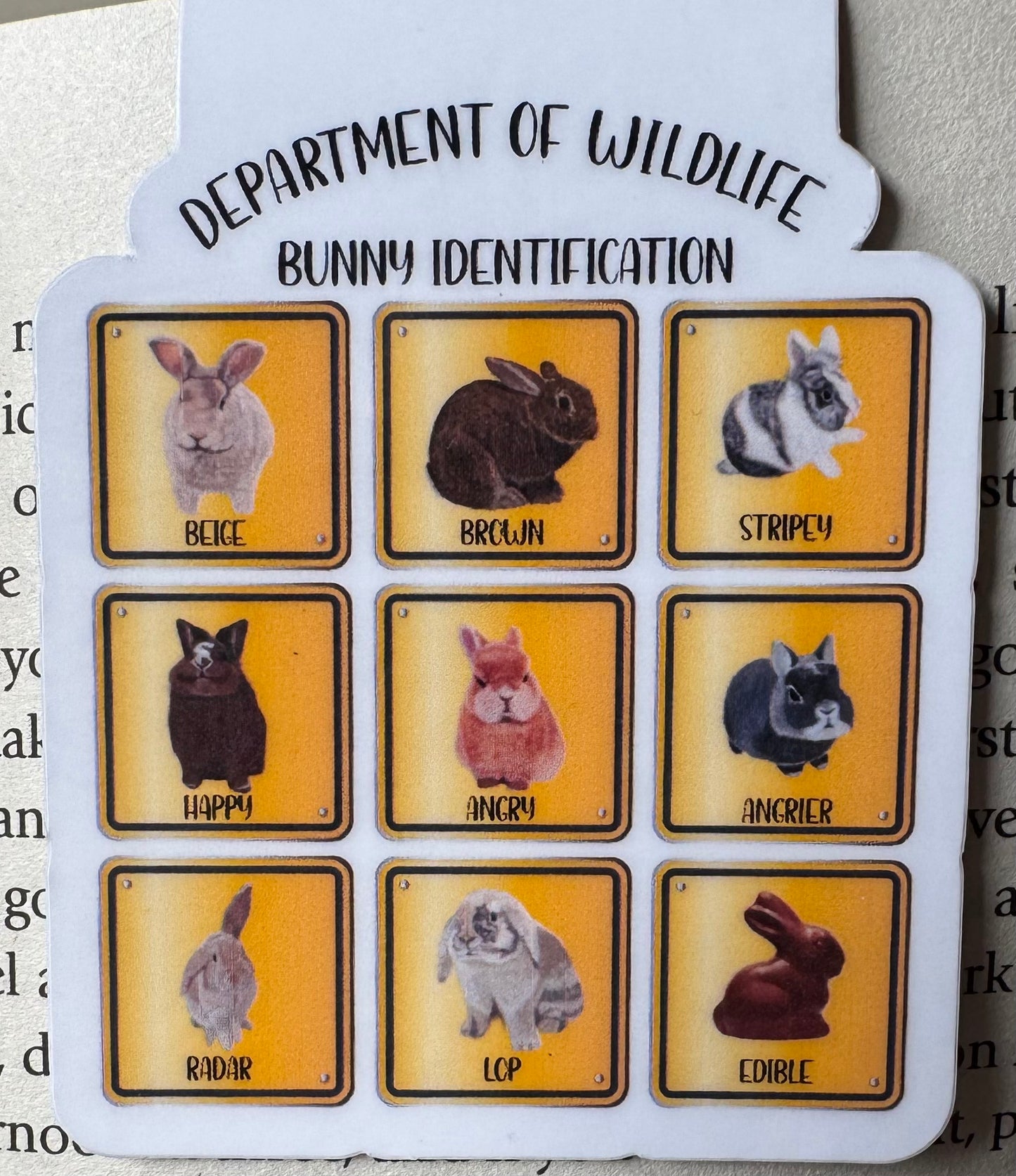 Bunny Identification