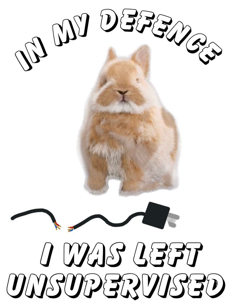 In my defence …