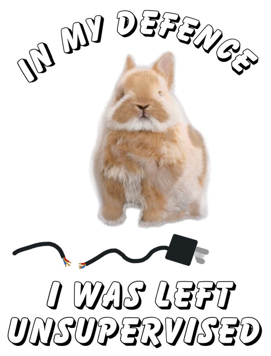 In my defence …