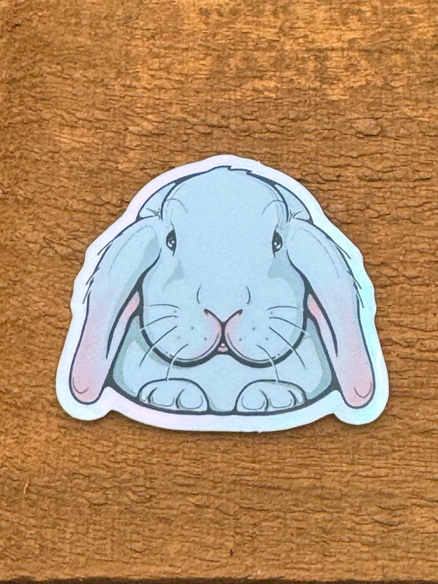 TouchingClouds Silver Bunny Sticker