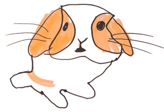 CCRR - Cute Bunny