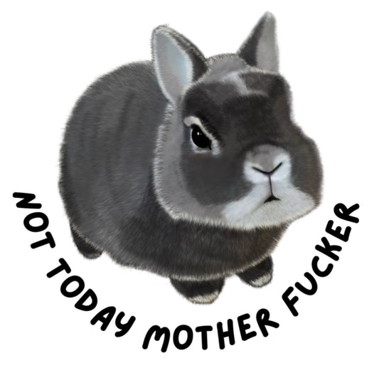 Not Today Mother Fuckers  Hoodie