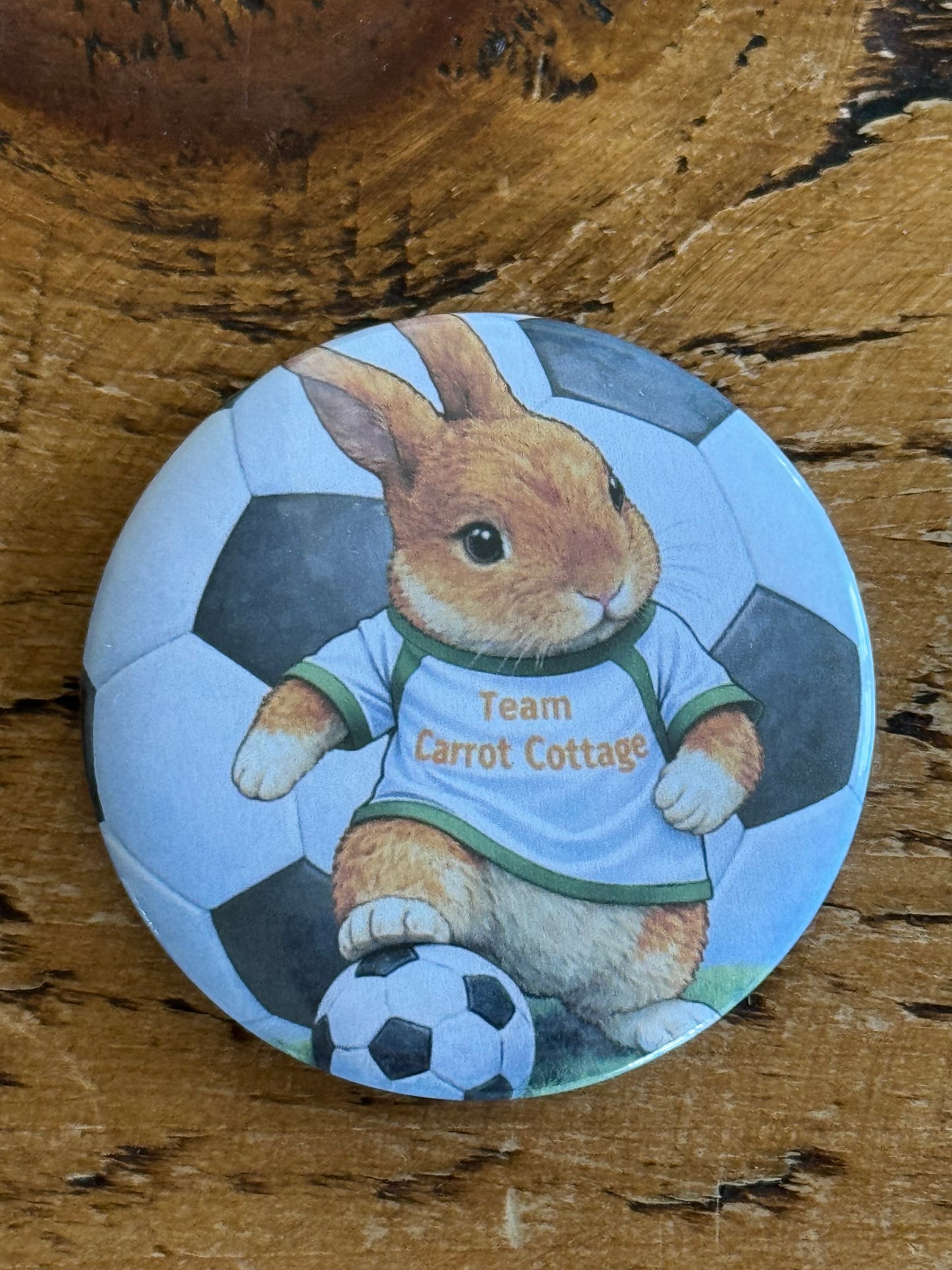 CCRR - Team Carrot Cottage - Harry