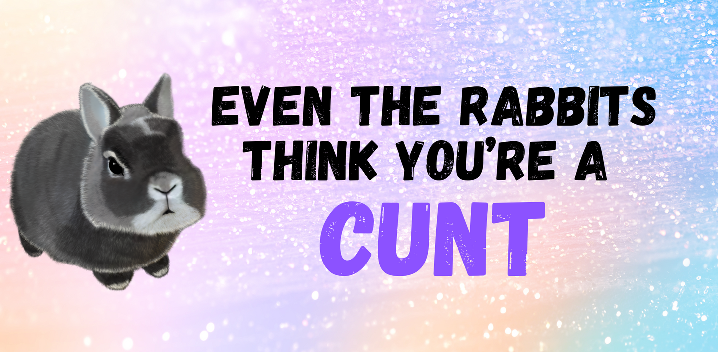 You’re a CUNT wooden hanging sign