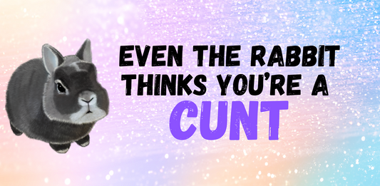 You’re a CUNT wooden hanging sign