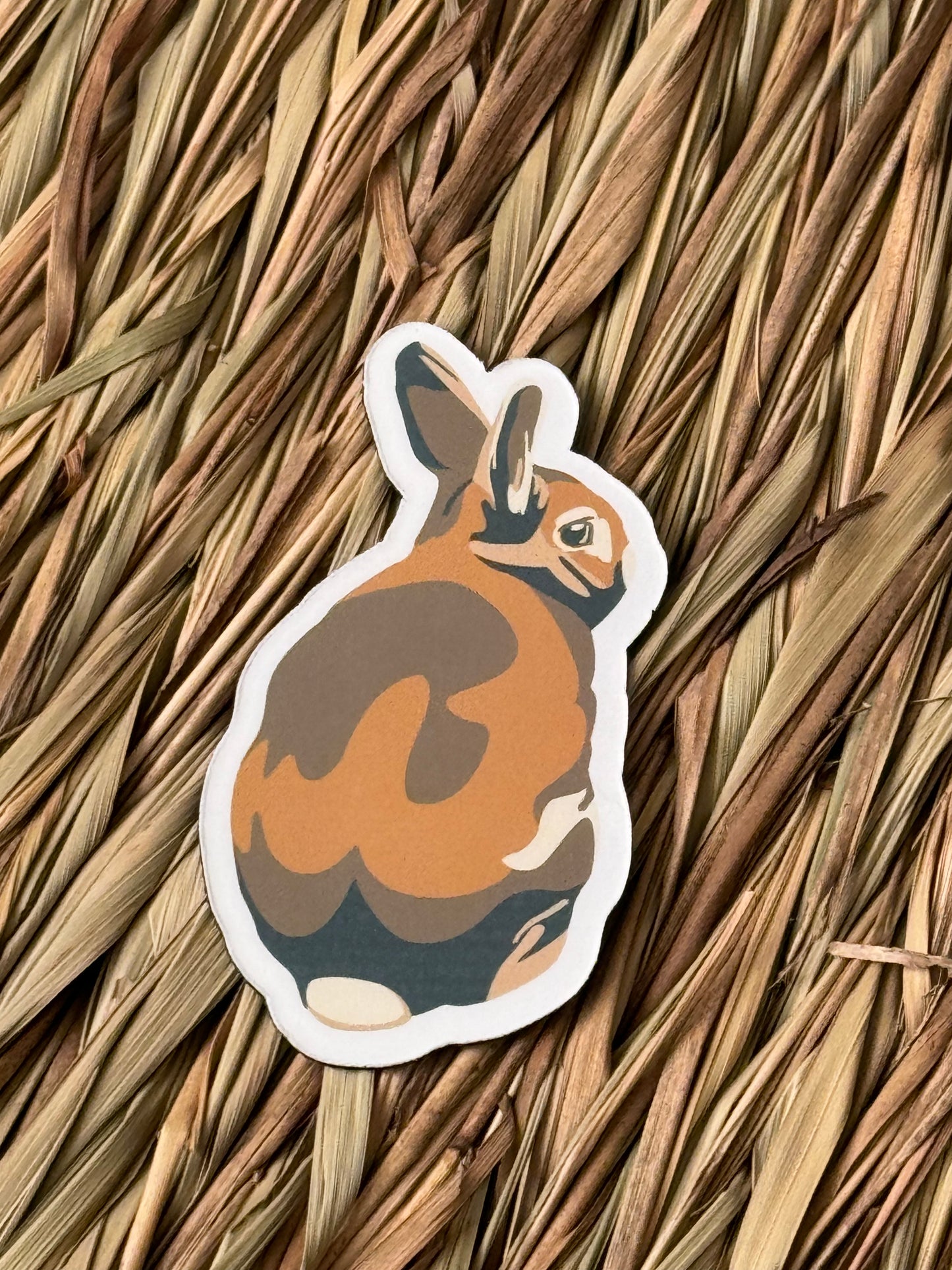 JJ Rabbit Magnet