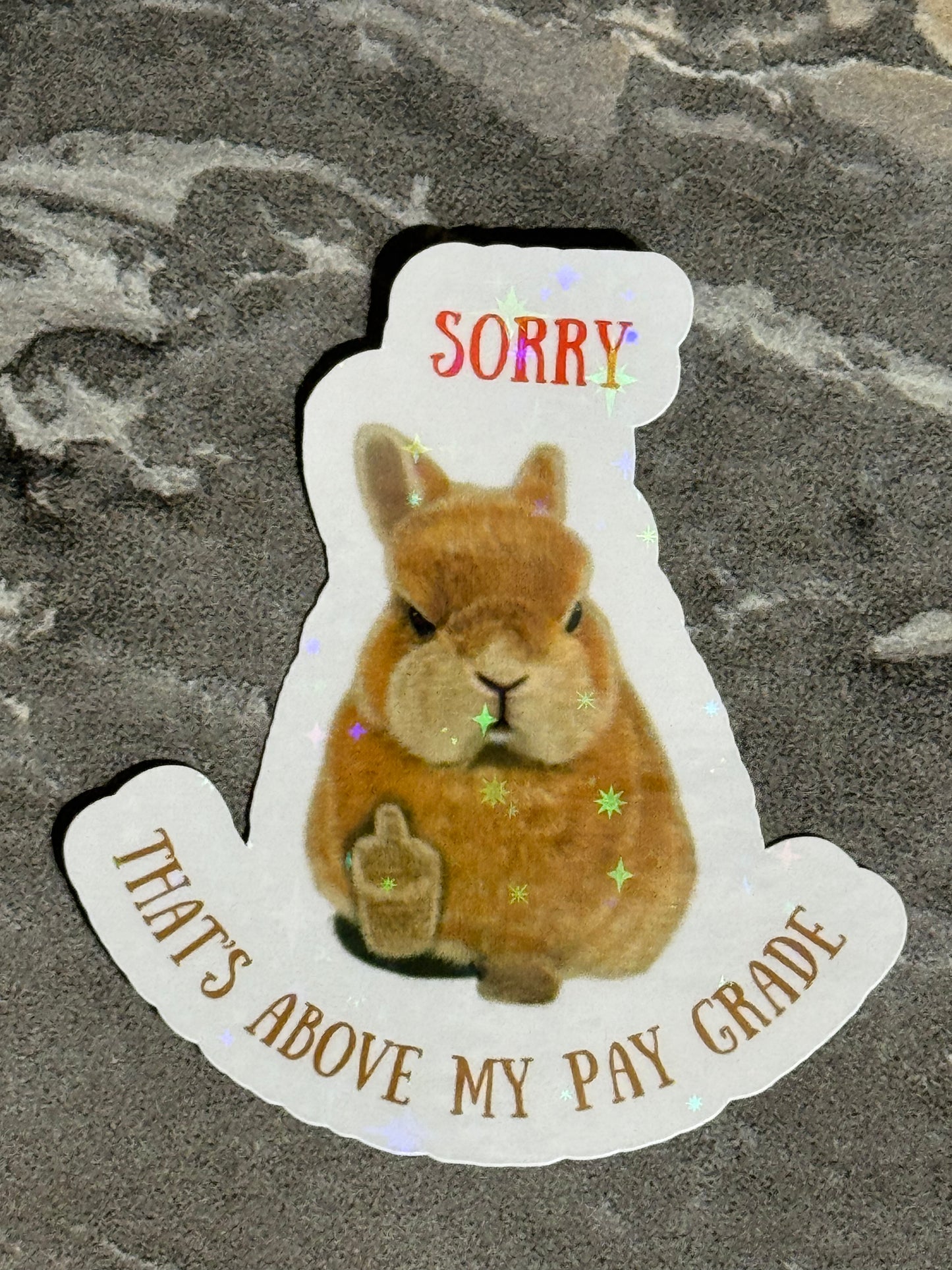 Sorry … That’s Above My Pay Grade