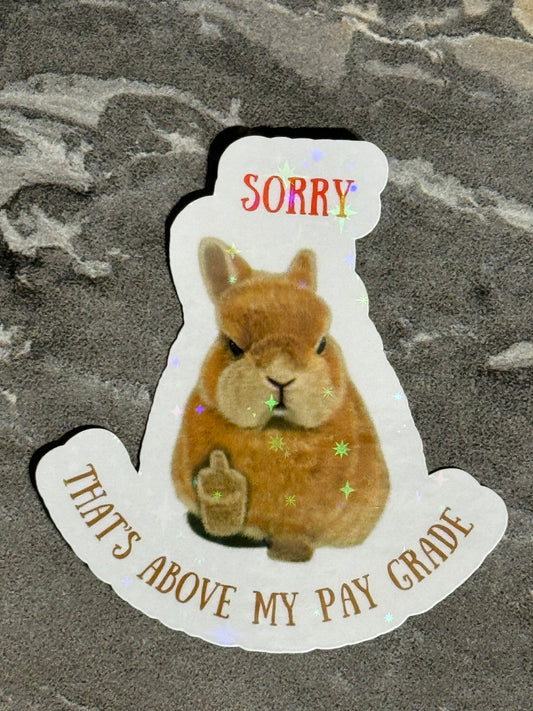 Sorry … That’s Above My Pay Grade