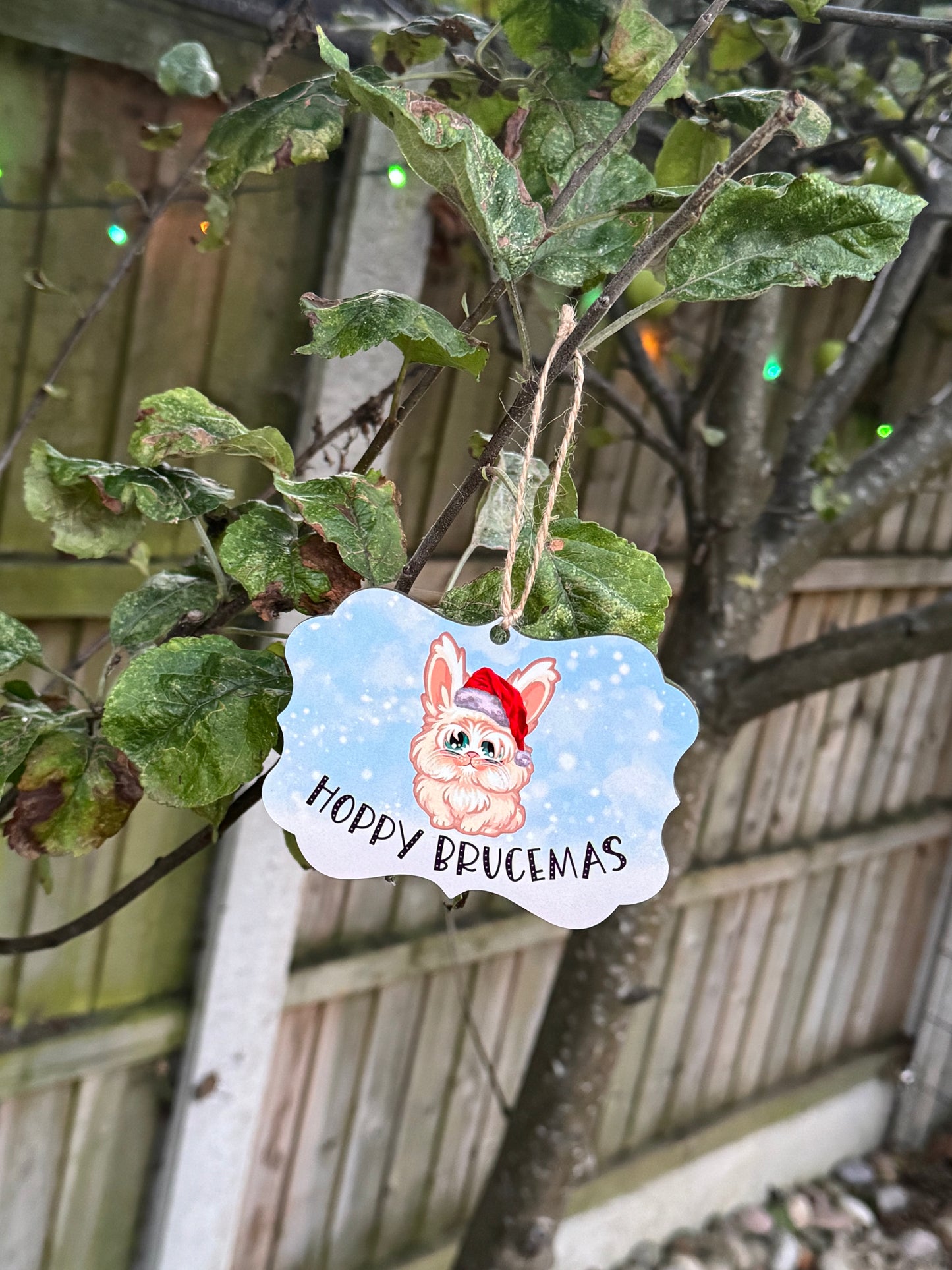 Brucemas! Fundraiser for Carrot Cottage Rabbit Rescue
