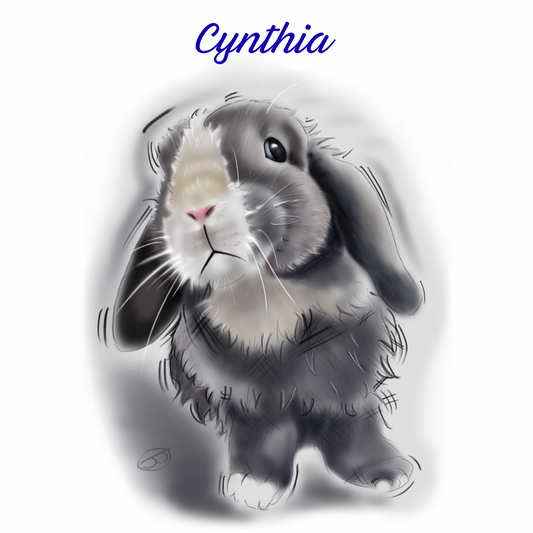 Carrot Cottage Rabbit - Cynthia Hoodie