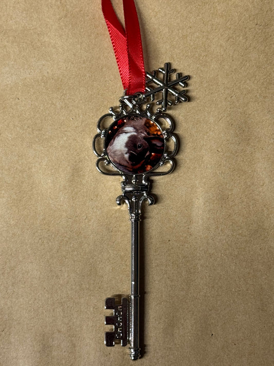 Limited Edition … Larry Double Sided Santa Key Decoration