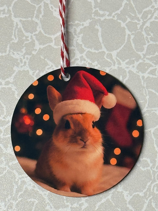 CCRR Harry Double Sided Wooden Decoration