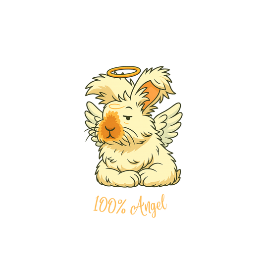 CCRR - Bruce 100% Angel