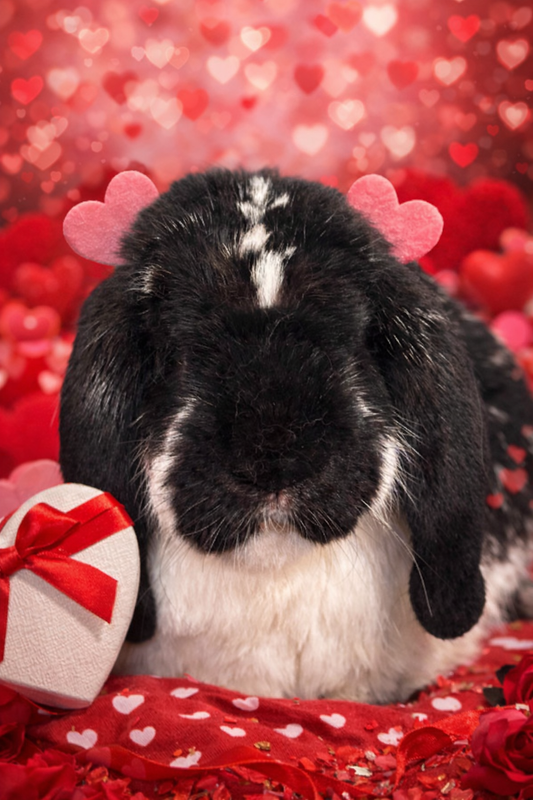 CCRR Valentine’s Day TJ