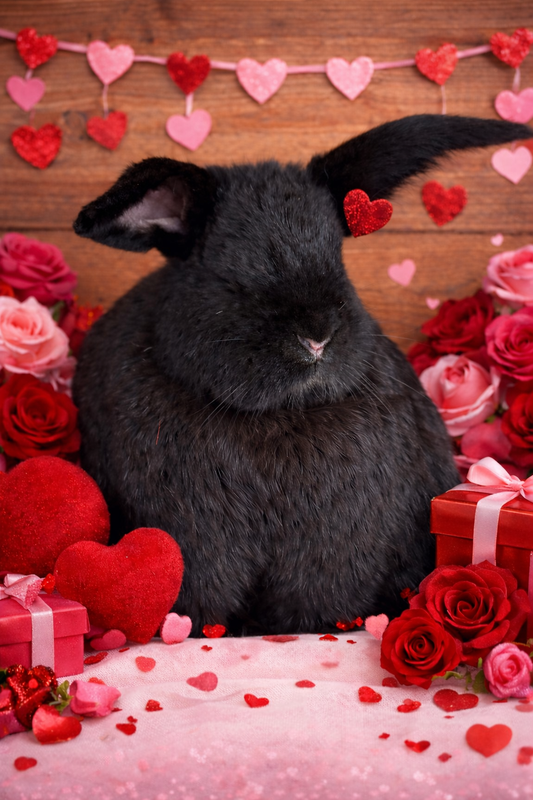 CCRR Valentine’s Day Kinley