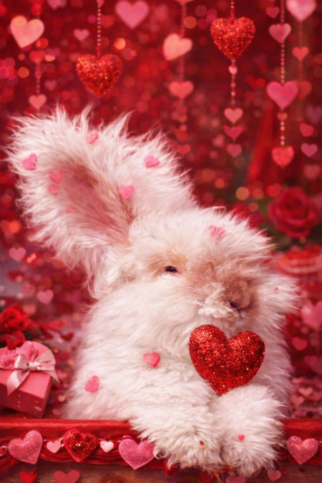 CCRR Valentine’s Day Bruce