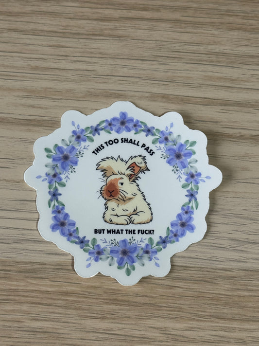 CCRR Bruce - This too shall pass