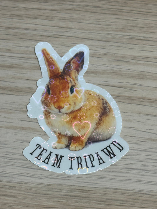 CCRR Linda - Team Tripawd