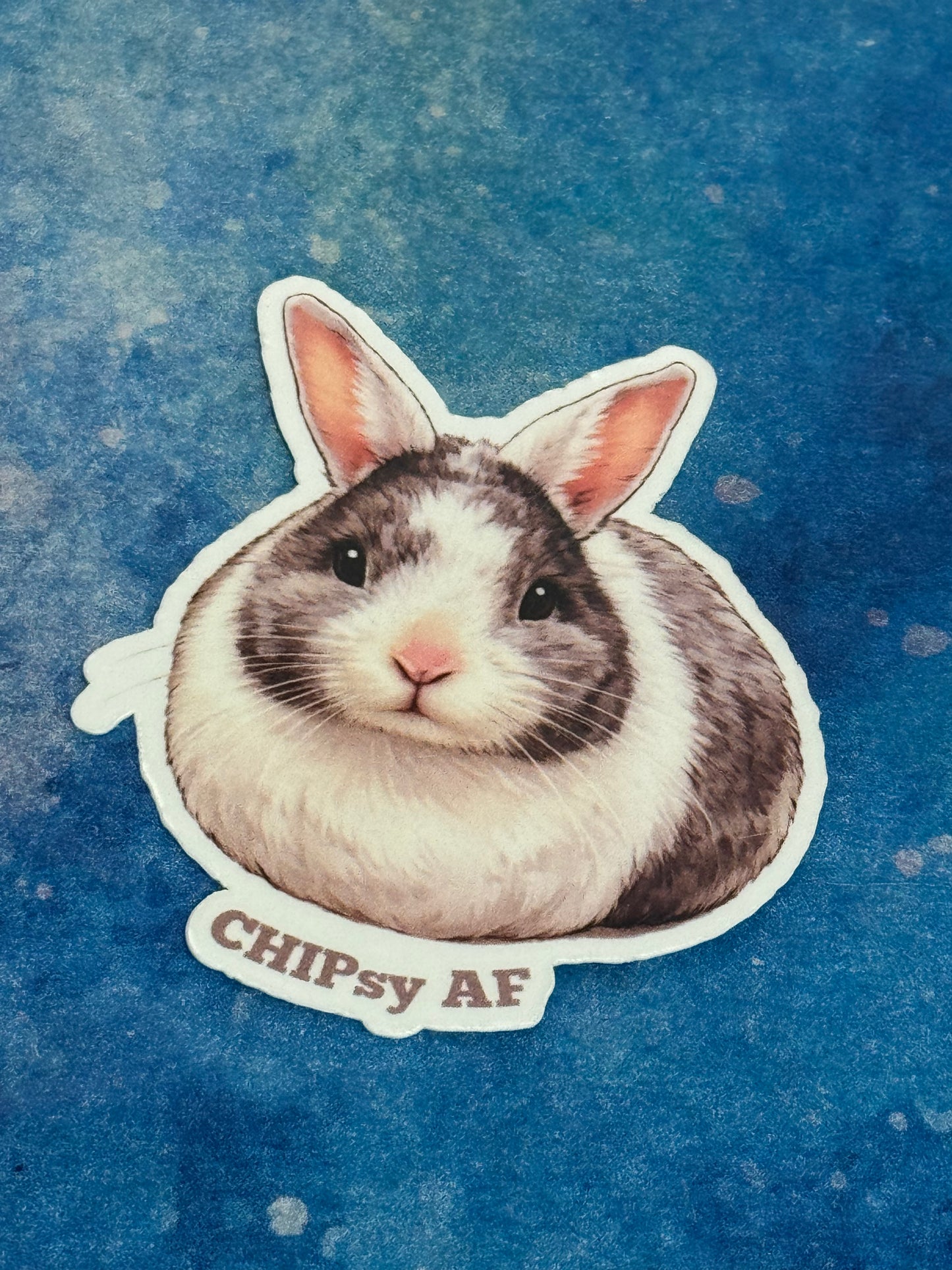 CCRR Chip - Chipsy AF