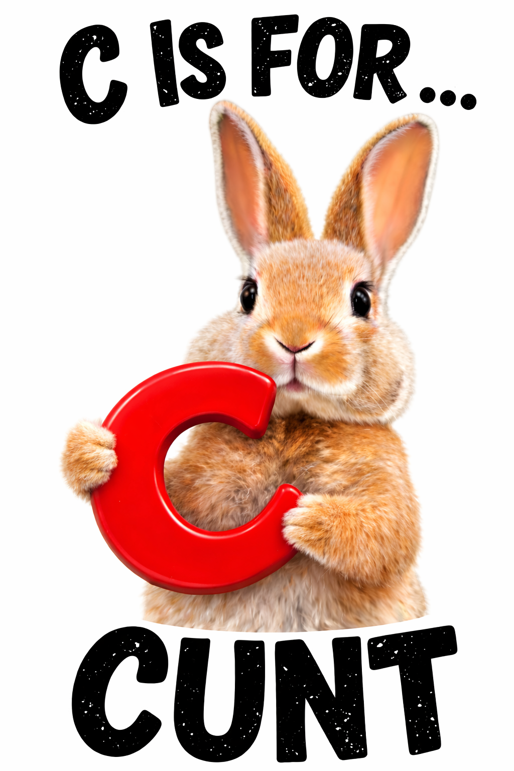 C IS For CUNT