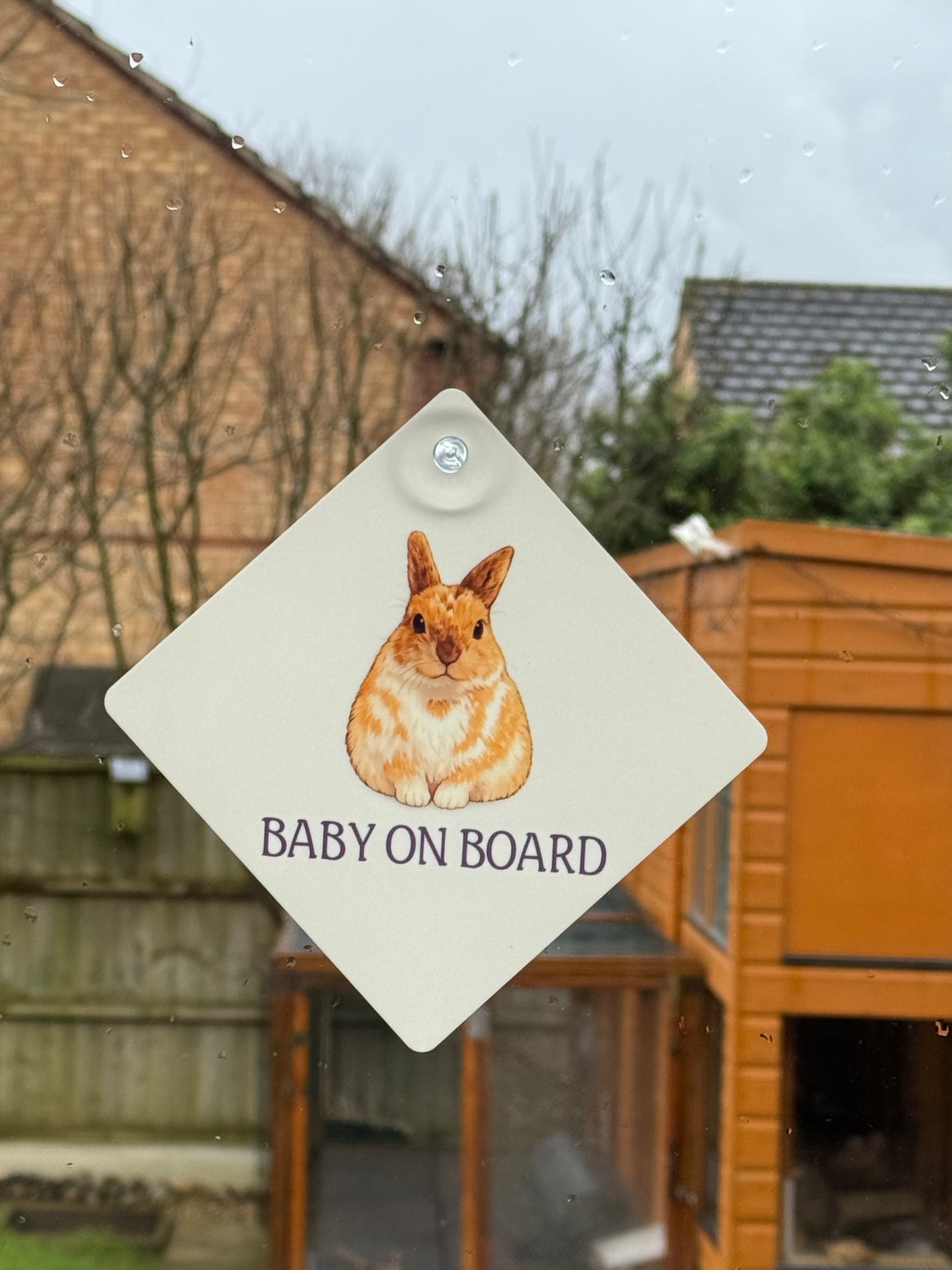 CCRR - Baby on Board - Harry Car Sign