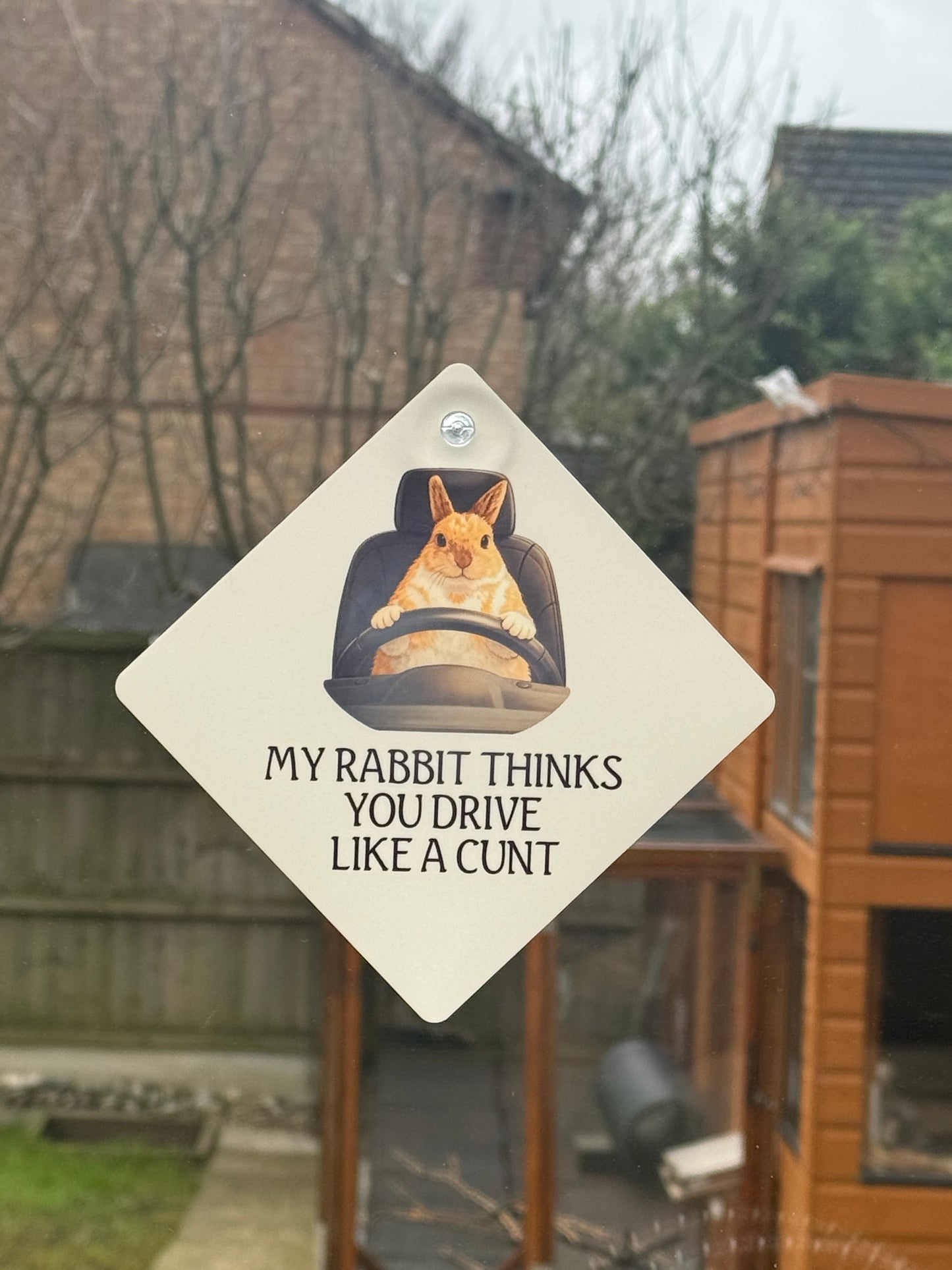CCRR - My Rabbit Thinks … Harry Car Sign